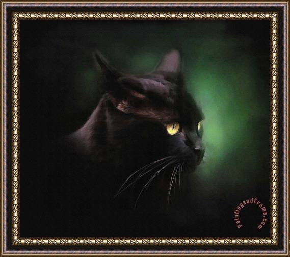 Robert Foster Black Cat Framed Print