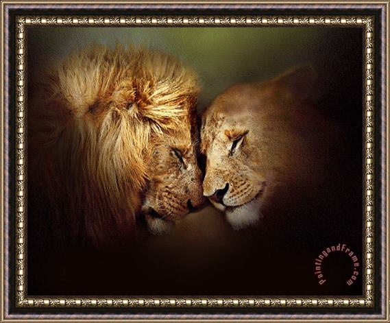 Robert Foster Lion Love Framed Painting