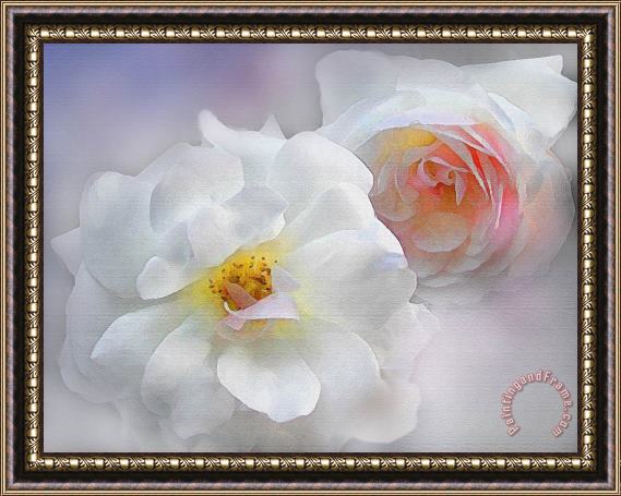 Robert Foster Soft Roses Framed Painting