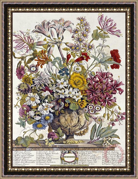 Robert Furber October Twelve Months of Flowers Framed Print
