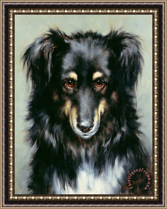 Robert Morley A Black and Tan Collie Framed Painting