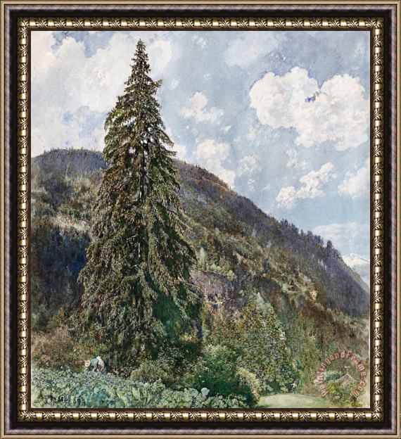 Rudolf von Alt The Old Spruce in Bad Gastein Framed Painting