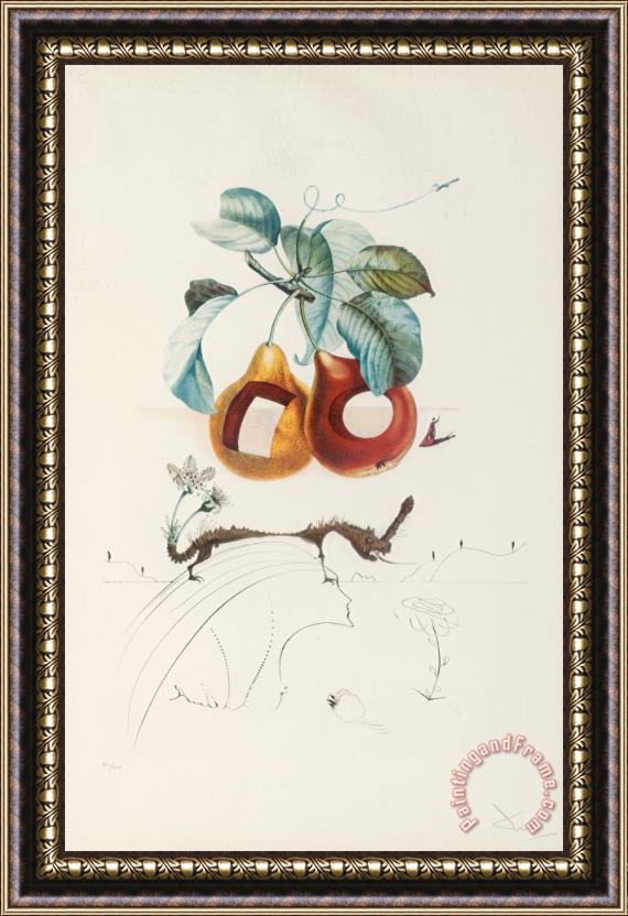 Salvador Dali Fruits Trouees (fruit with Holes), From Les Fruits Framed Print