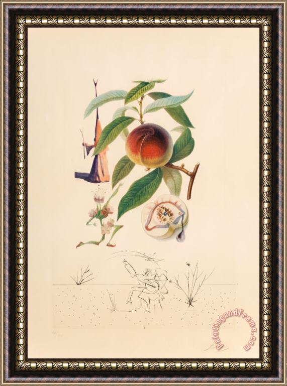 Salvador Dali Pecheur Penitant, From Flor Dali Les Fruits, 1969 Framed Print