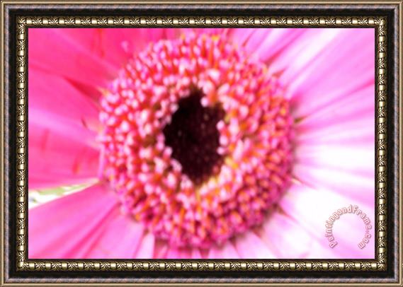 Sarah OToole Bridesmaid Pink Framed Painting