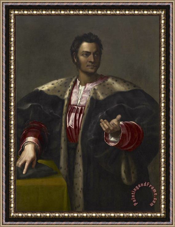 Sebastiano del Piombo Anton Francesco Degli Abizzi Framed Print