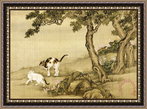 Shen Nanpin Album of Birds And Animals (cats) Framed Print