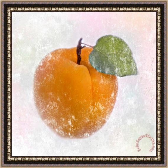 Sia Aryai Apricot Framed Print