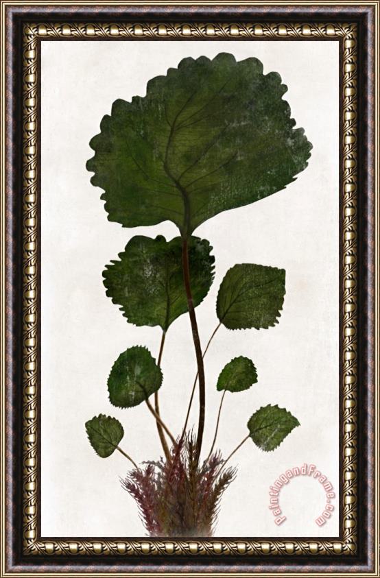 Sia Aryai Chlorophyll II Framed Print