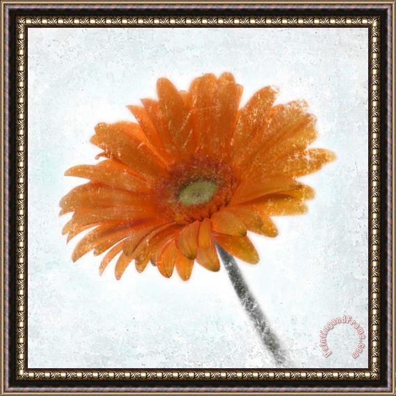 Sia Aryai Gerbera Orange Framed Painting