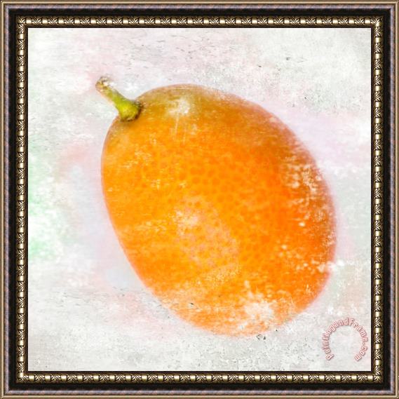 Sia Aryai Kumquat Framed Painting