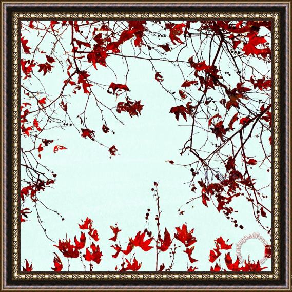 Sia Aryai November II Framed Painting