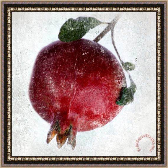 Sia Aryai Pomegranate Framed Painting