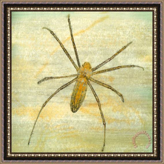 Sia Aryai Sugar Bug V Framed Painting
