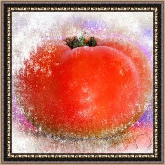 Sia Aryai Tomato Framed Print