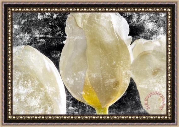 Sia Aryai White Tulips III Framed Print