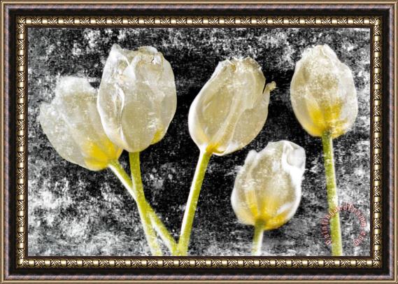 Sia Aryai White Tulips IV Framed Painting