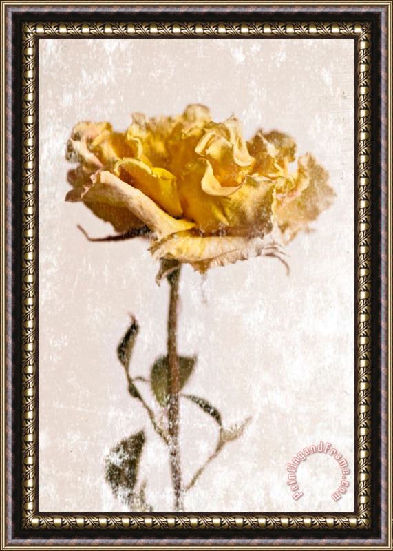 Sia Aryai Yellow Rose Framed Painting