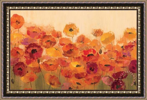 Silvia Vassileva Summer Poppies Framed Painting