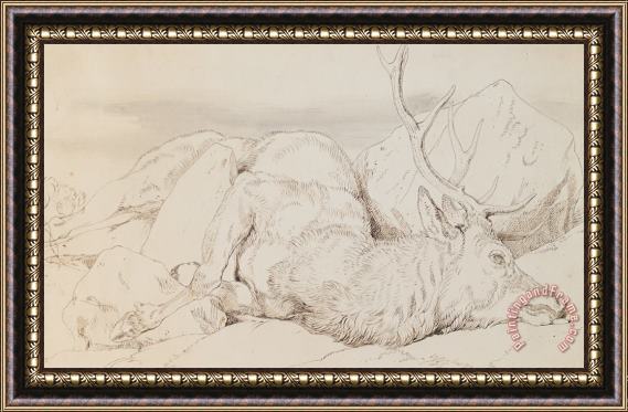 Sir Edwin Landseer A Dead Stag Framed Painting