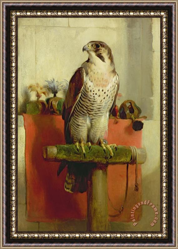 Sir Edwin Landseer Falcon Framed Print