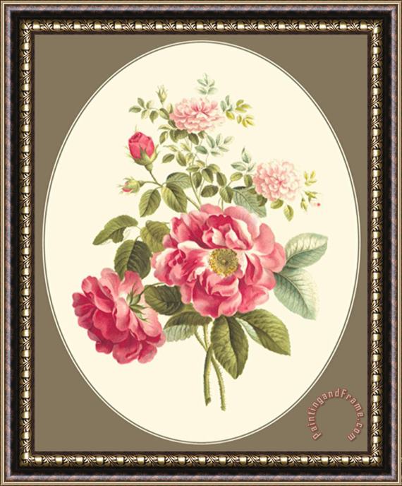 Sydenham Teast Edwards Antique Bouquet I Framed Print
