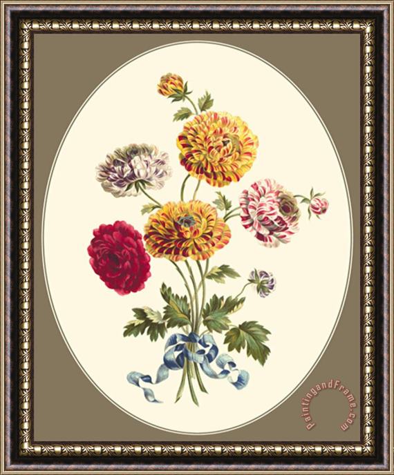 Sydenham Teast Edwards Antique Bouquet III Framed Print