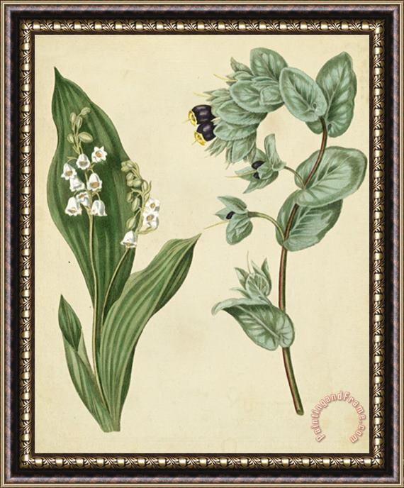 Sydenham Teast Edwards Cottage Florals Iv Framed Print