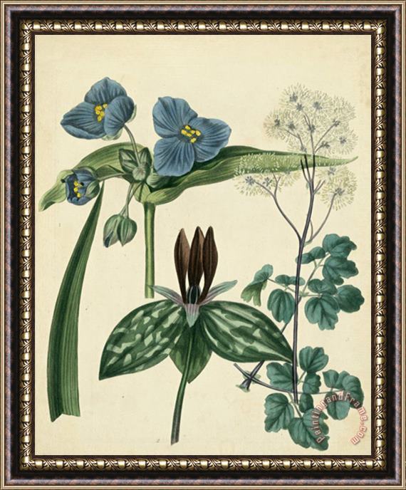 Sydenham Teast Edwards Cottage Florals V Framed Print