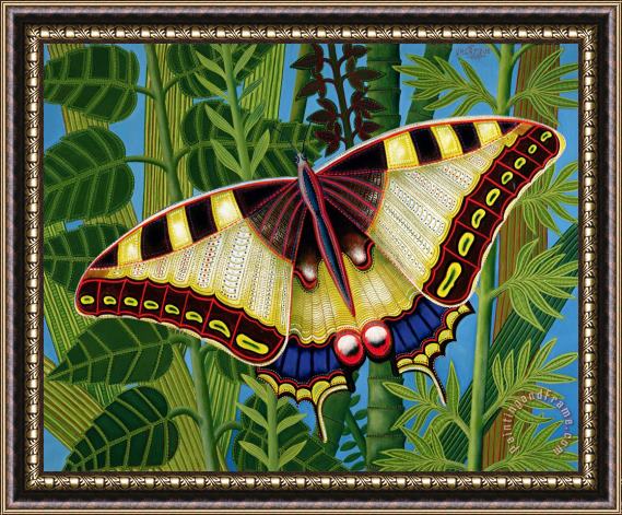 Tamas Galambos Butterfly Framed Print