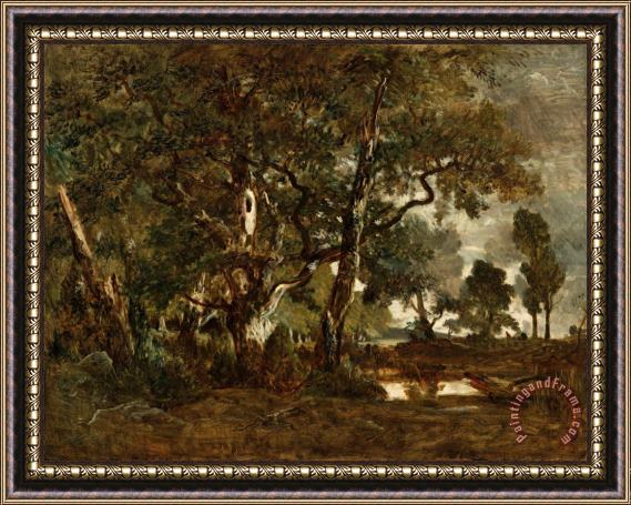 Theodore Rousseau Forest of Fontainebleau, Cluster of Tall Trees Overlooking The Plain of Clair Bois at The Edge of Ba Framed Print