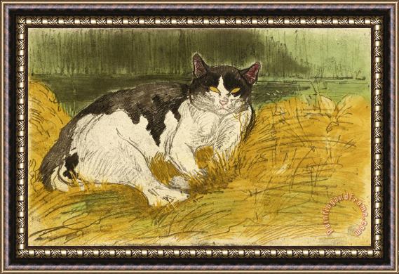 Theophile Alexandre Steinlen Vieux Chat Noir Et Blanc Dans L'herbe Framed Print