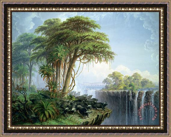Thomas Baines Buffalos Driven To The Edge Of The Chasm Opposite Garden Island Victoria Falls Framed Painting