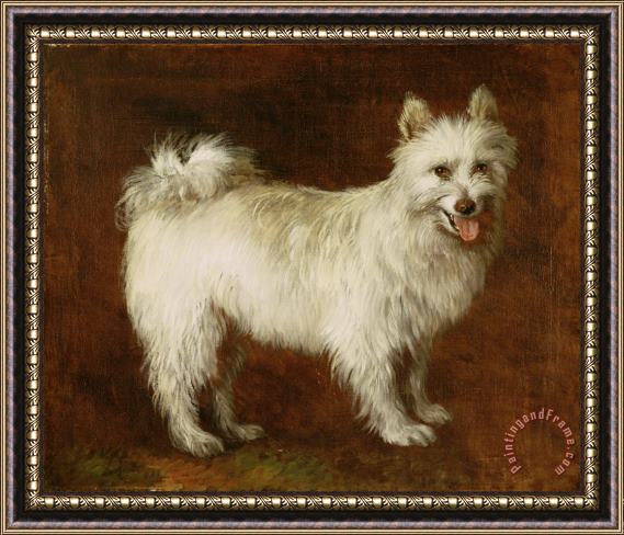 Thomas Gainsborough Spitz Dog Framed Painting