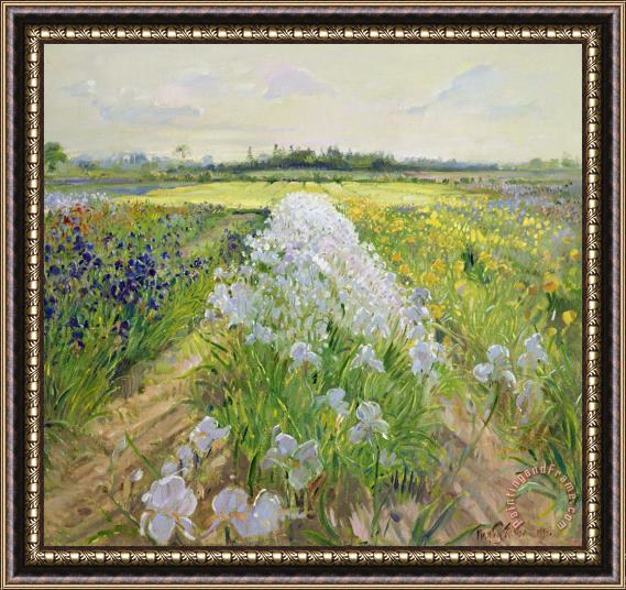 Timothy Easton Down the Line Framed Painting