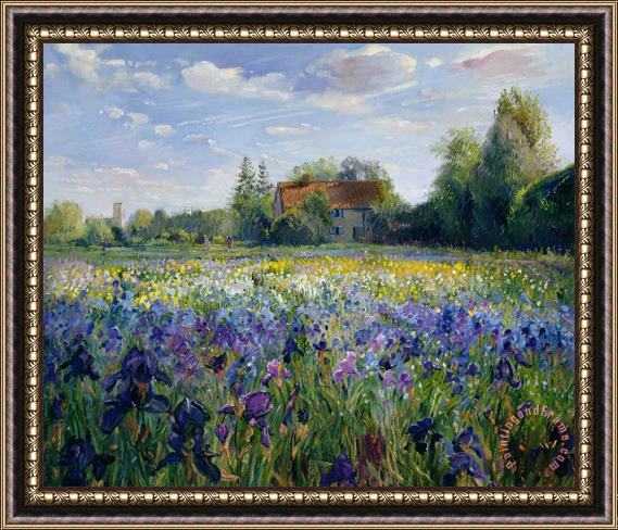 Timothy Easton Evening at the Iris Field Framed Painting