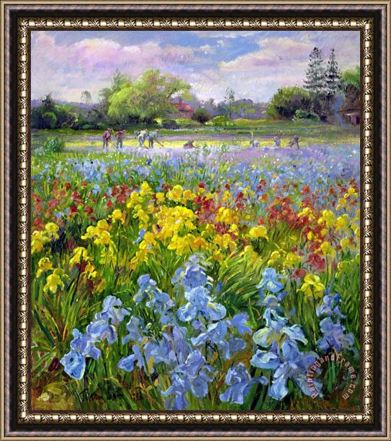 Timothy Easton Hoeing Team and Iris Fields Framed Painting