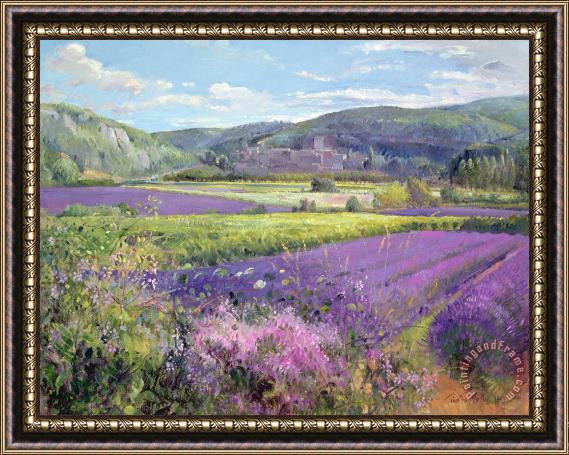 Timothy Easton Lavender Fields in Old Provence Framed Print