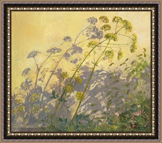 Timothy Easton Lovage Clematis And Shadows Framed Painting