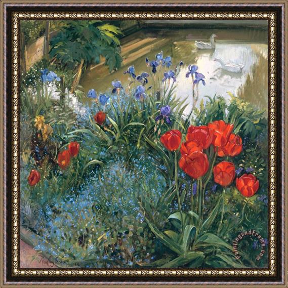 Timothy Easton Red Tulips And Geese Framed Print