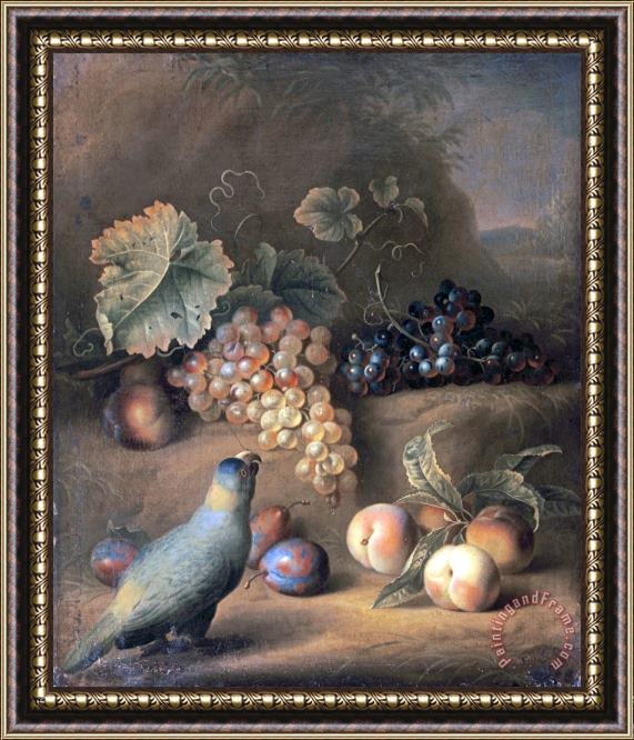 Tobias Stranovius A Parrot with Grapes, Peaches And Plums in a Landscape Framed Painting