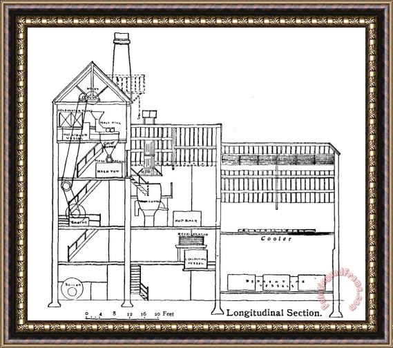 Twelfth Edition Brewery Cross Section Illustration Framed Painting