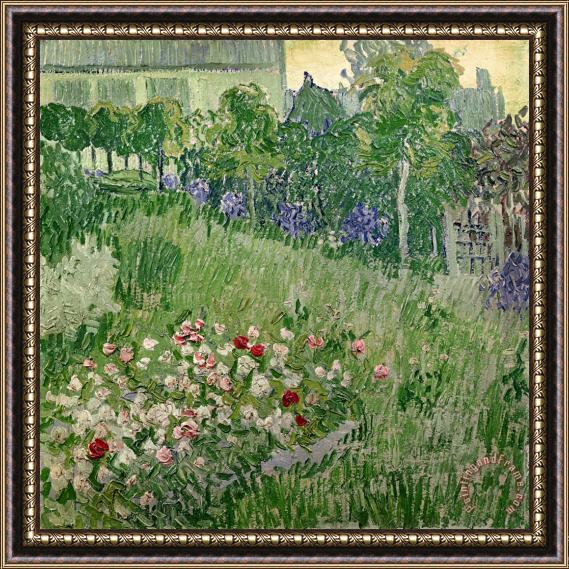 Vincent Van Gogh Daubigny's Garden Framed Painting