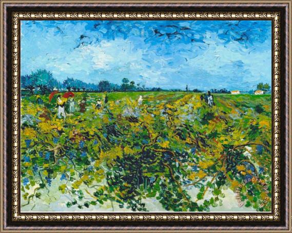 Vincent van Gogh Green Vineyard Framed Painting