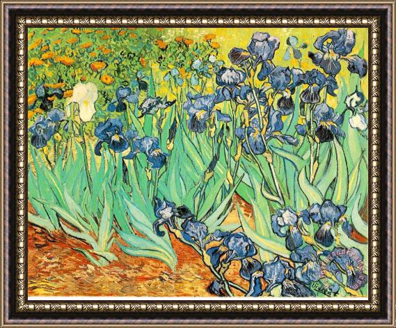 Vincent van Gogh Irises Framed Painting