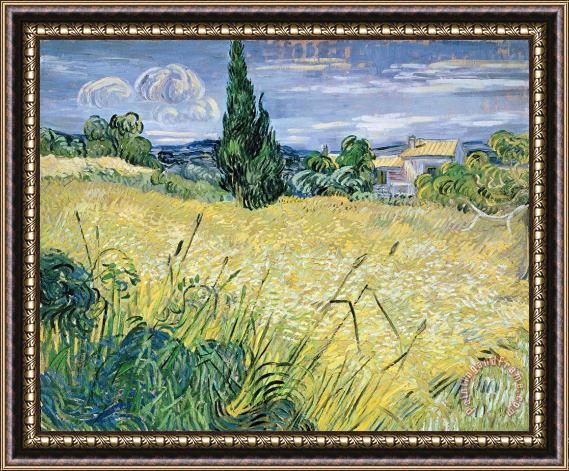 Vincent Van Gogh Landscape with Green Corn Framed Print