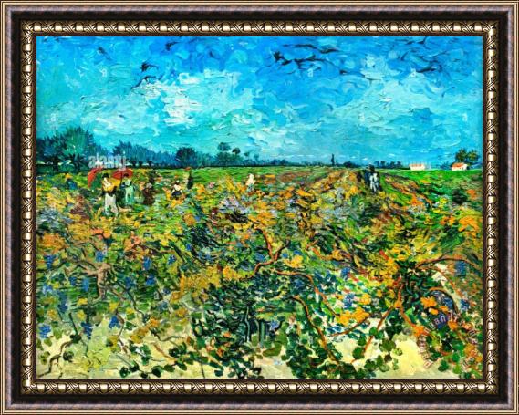 Vincent van Gogh The Green Vineyard Framed Painting