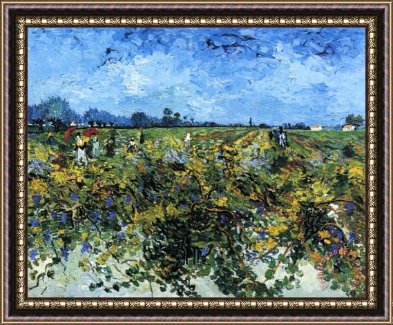 Vincent van Gogh The Green Vinyard II Framed Painting