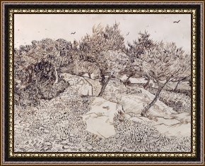 Olive Trees And Poppies Framed Paintings - The Olive Trees by Vincent van Gogh