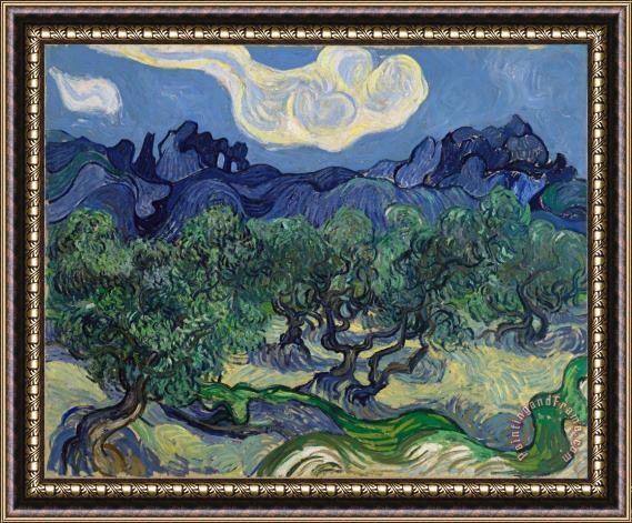 Vincent van Gogh The Olive Trees Framed Painting